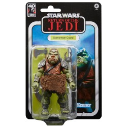 Star Wars 15cm GAMMOREAN GUARD Deluxe 40Th The Return Of The Jedi Action Figure Black Series 6" F6856